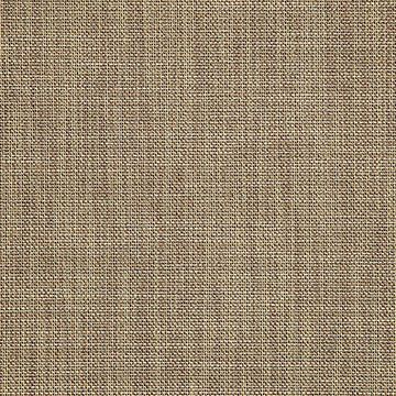 Augustine Fennel – Sunbrella® Sling Fabric by the Yard | 54" Wide | Outdoor Use