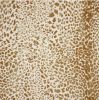 Sunbrella Instinct Toffee outdoor fabric for patio furniture cushions and outdoor pillows