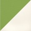 Picture of Ginkgo White | 11' Fiberglass Market Umbrella Sunbrella® Awning Fabric