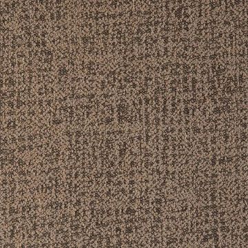 Picture of Abstraction Fossil | Fabric Sample - Sunbrella©