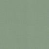 Picture of Canvas Celadon | Fabric Sample - Sunbrella©