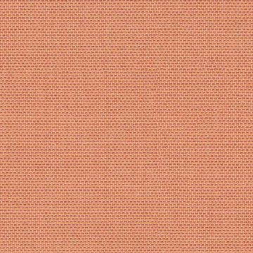 Picture of Canvas Coral | Fabric Sample - Sunbrella©