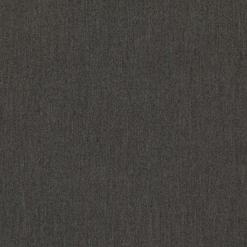 Picture of Canvas Flanelle | Fabric Sample - Sunbrella©