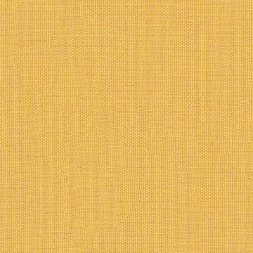 Picture of Canvas Hive | Fabric Sample - Sunbrella©