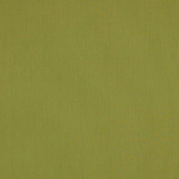 Picture of Canvas Lichen | Fabric Sample - Sunbrella©