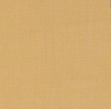 Picture of Cast Harvest | Fabric Sample - Sunbrella©