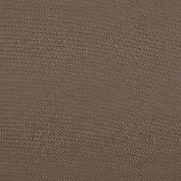 Picture of Lopi Coconut | Fabric Sample - Sunbrella©