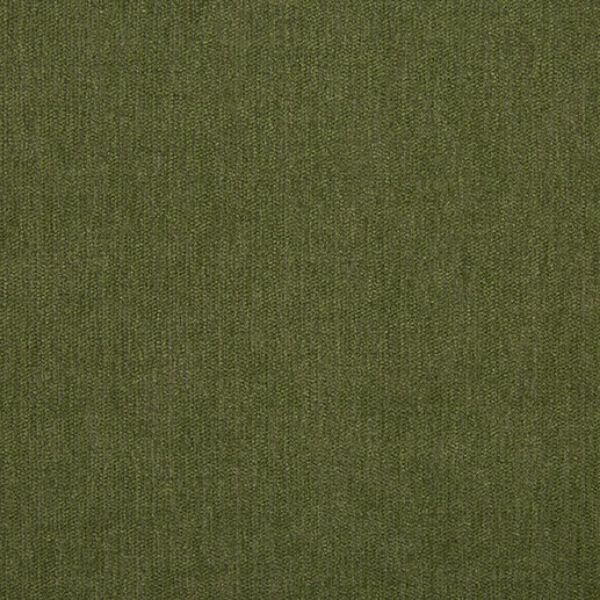 Picture of Ritsy Aloe | Fabric Sample - Sunbrella©