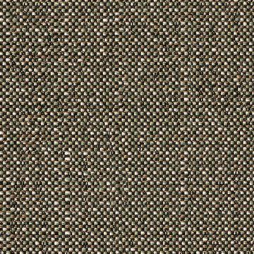 Picture of Savane Chameleon | Fabric Sample - Sunbrella©