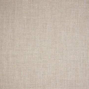 Picture of Switch Flax | Fabric Sample - Sunbrella©