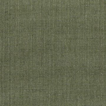 Picture of Willa Frond | Fabric Sample - Sunbrella©