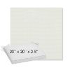 Picture of Sailcloth Salt | Sunbrella® 20" x 20" x 3" Outdoor Dining Cushion