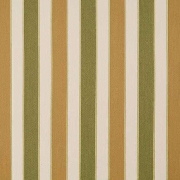 Picture of Varsity Pesto Parmesan | Fabric Sample - Sunbrella©